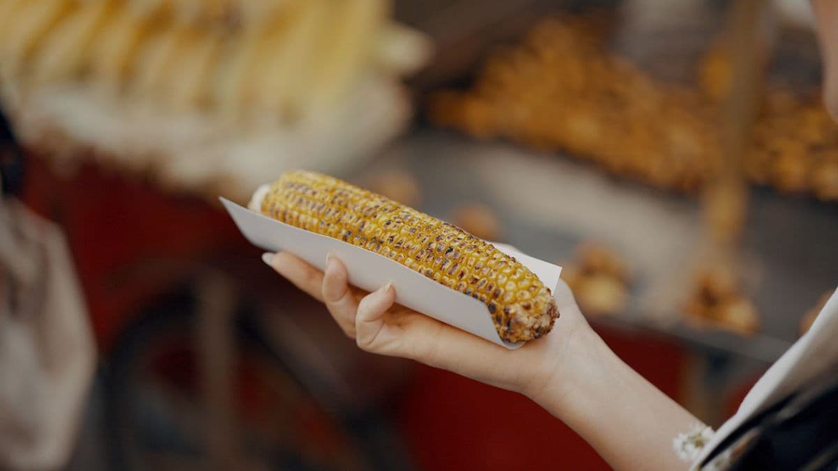Woman holding roasted corn on the cob