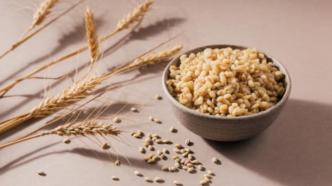 Bowl of Cooked Barley with Wheat Stalks