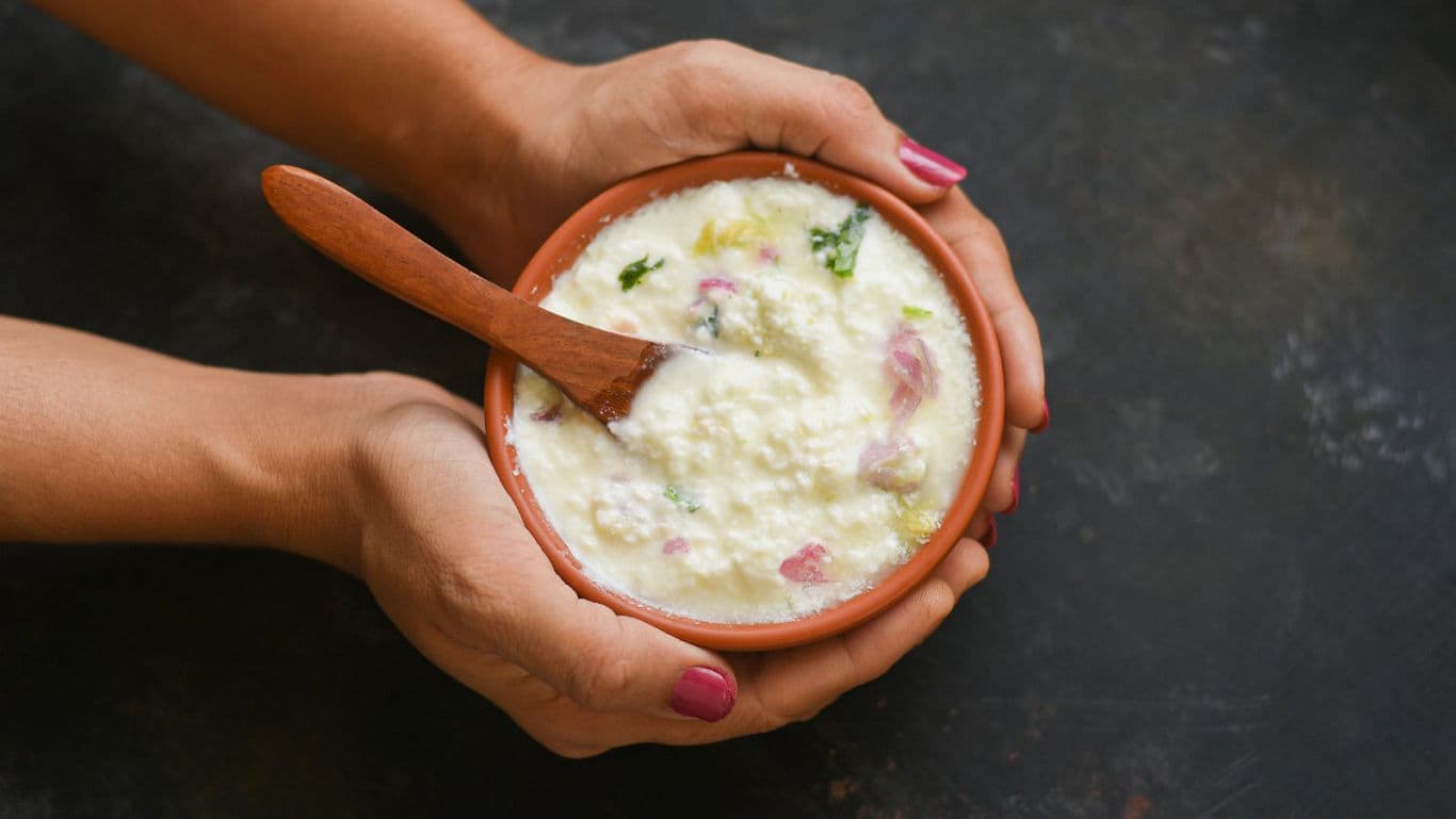Hands holding bowl of creamy curd dish
