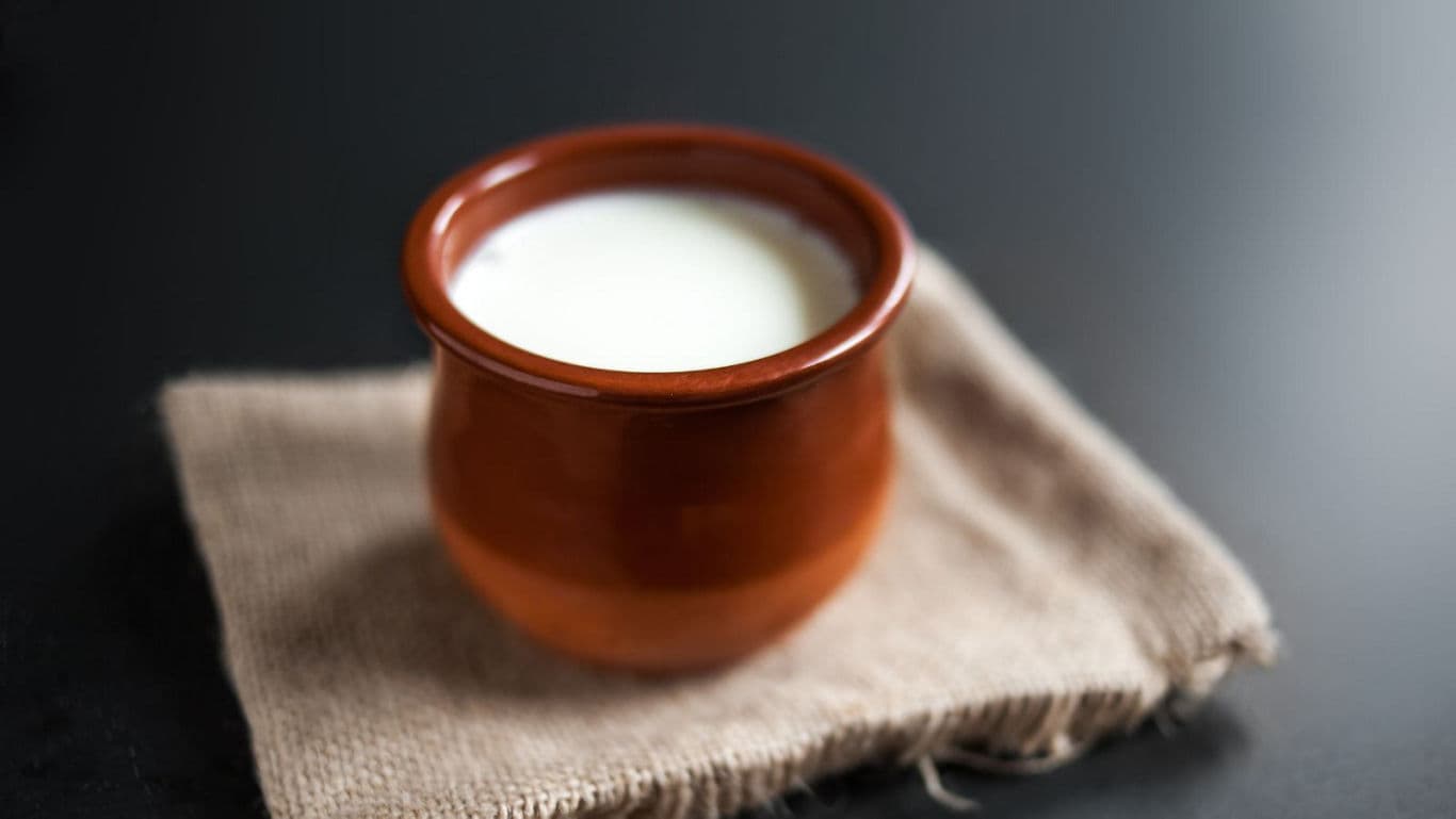 Fresh curd served in traditional clay pot