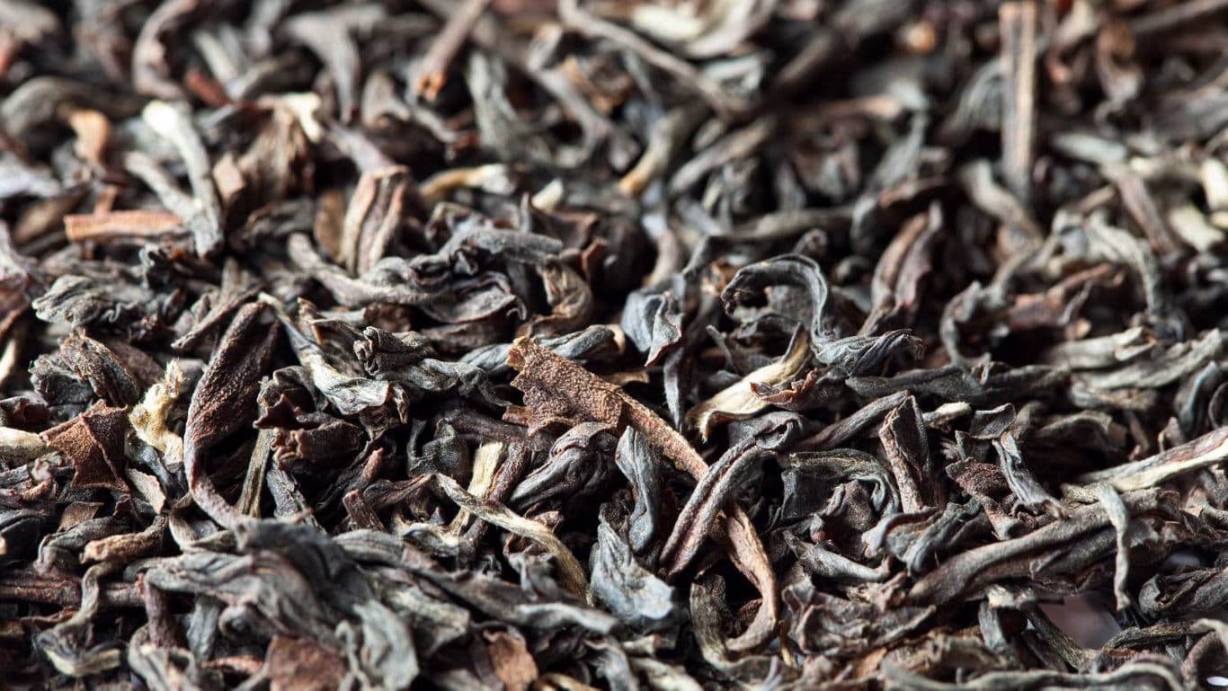 Close up of loose black tea leaves