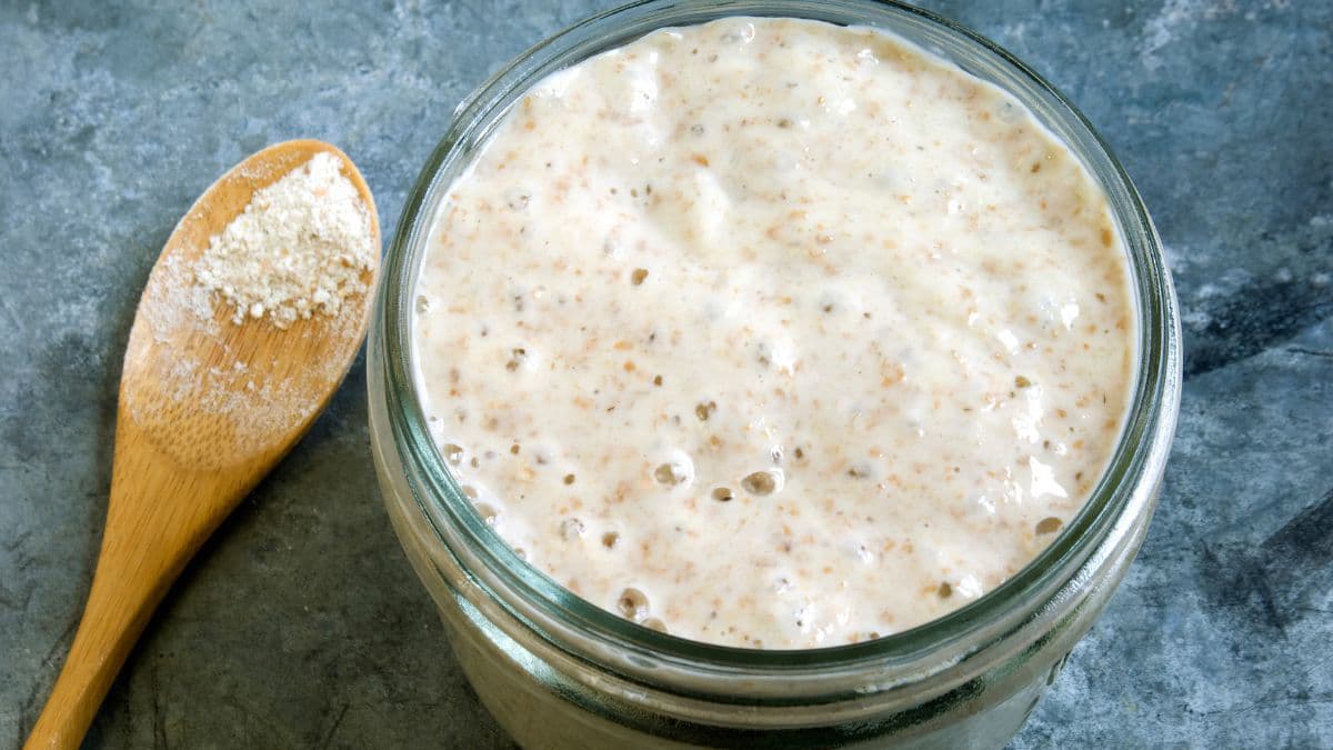 close-up of sourdough starter