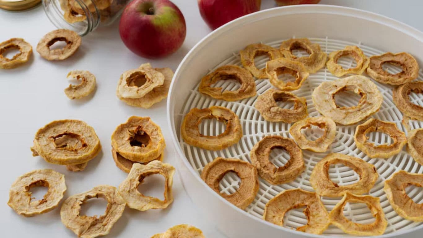 Homemade Dried Apple Rings on Dehydrator Tray