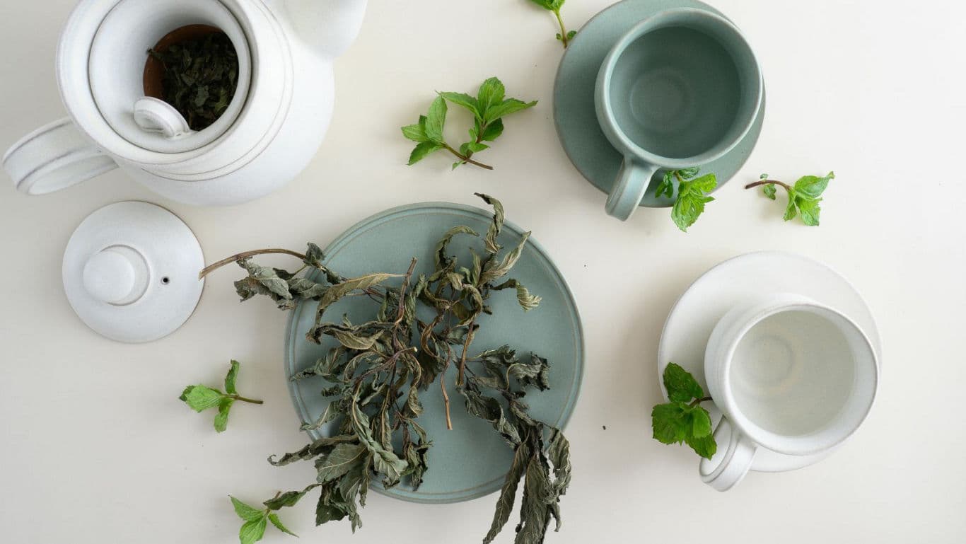 Herbal tea leaves with minimalist ceramic teaware