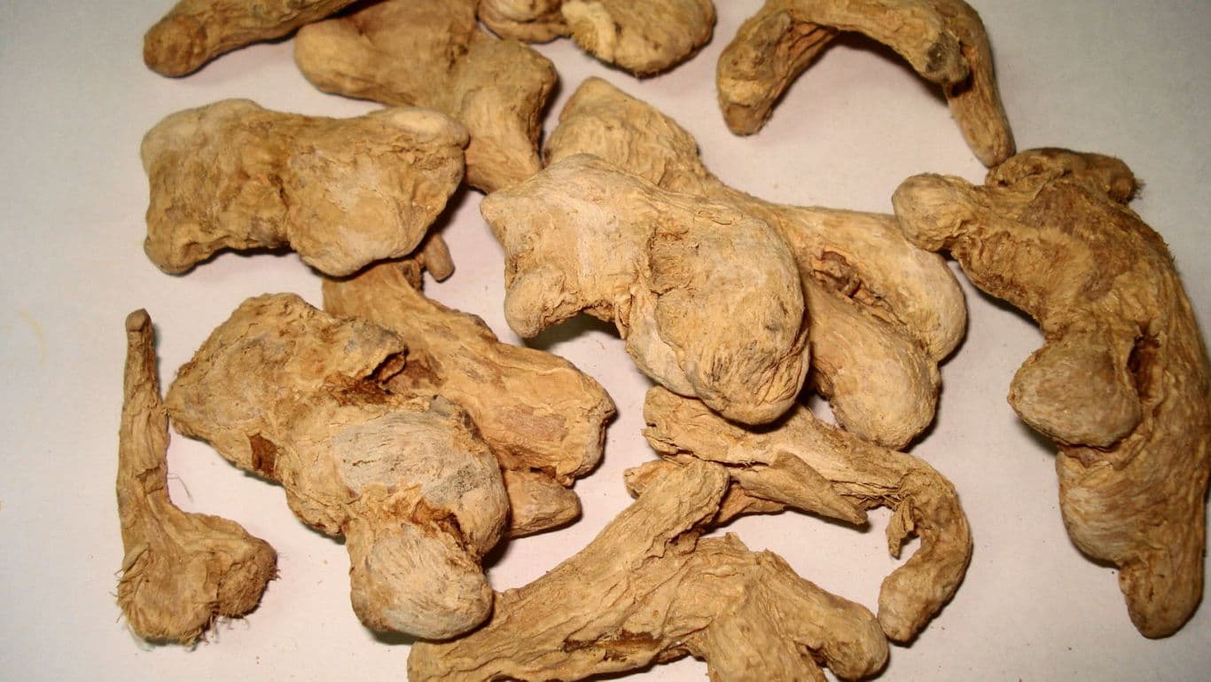 Dried ginger roots on neutral background