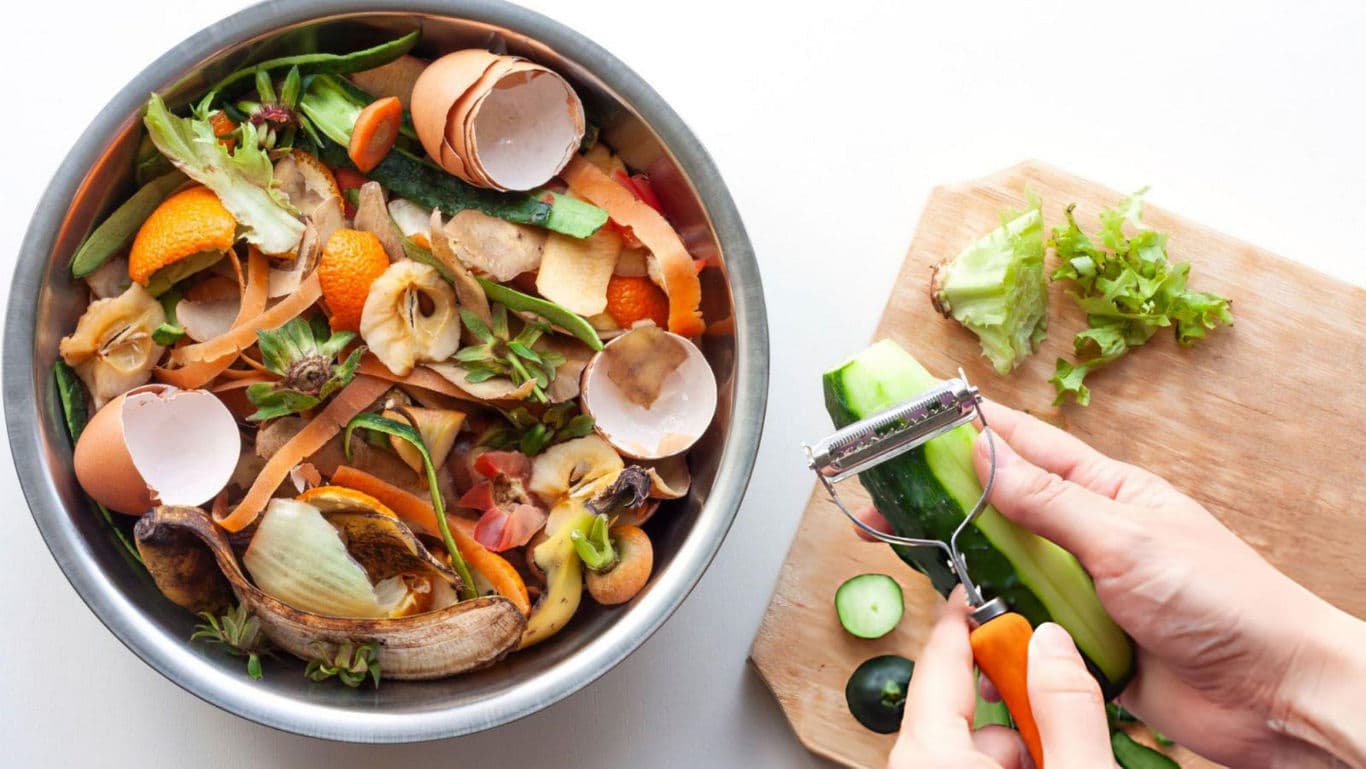 Food scraps zero waste.