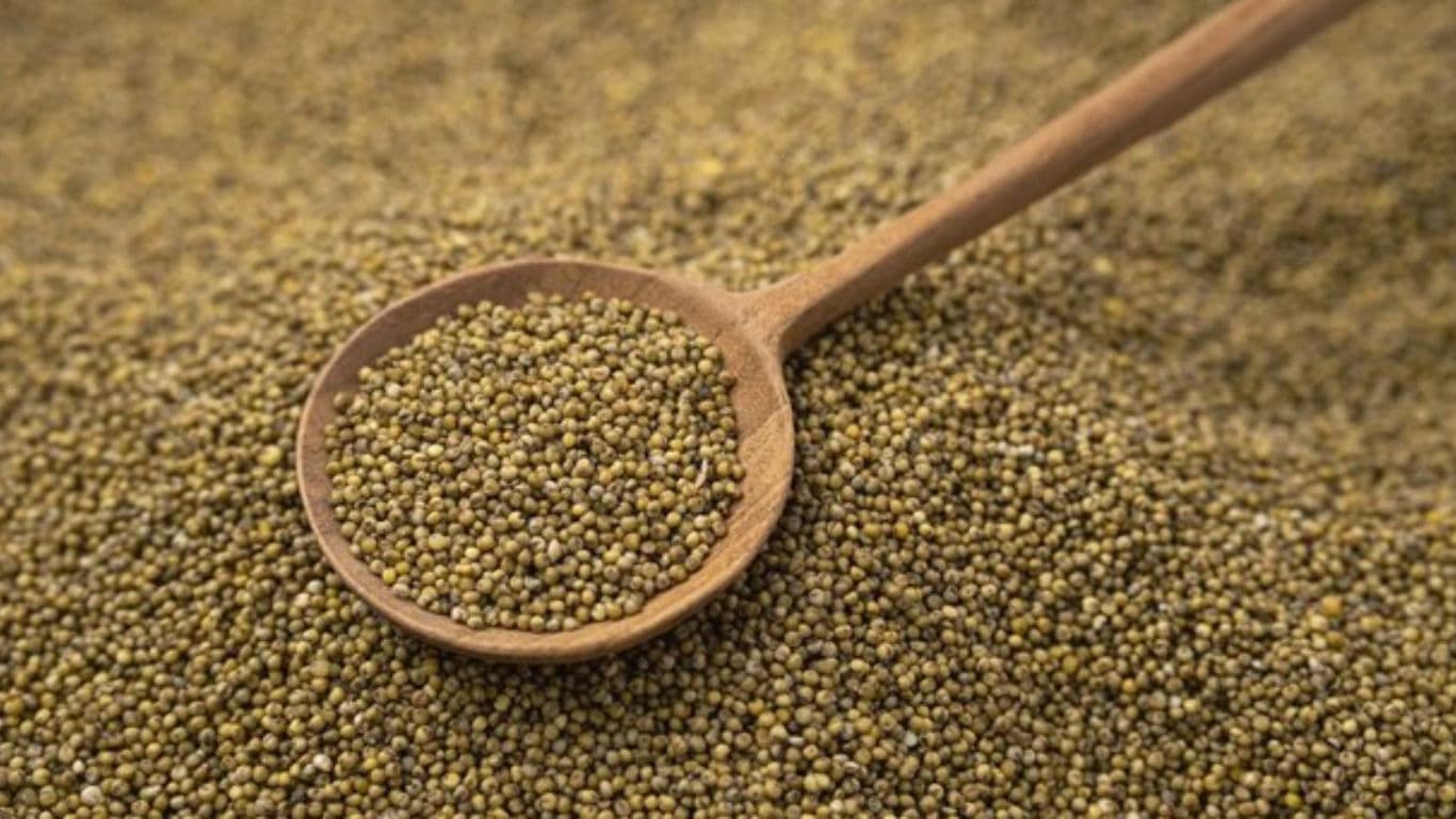Wooden Spoon Filled With Mustard Seeds Closeup