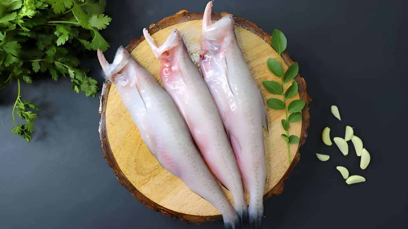 Fresh Bombay duck on a surface