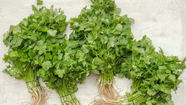 how-to-use-every-part-of-fresh-coriander-without-waste-thumbnail