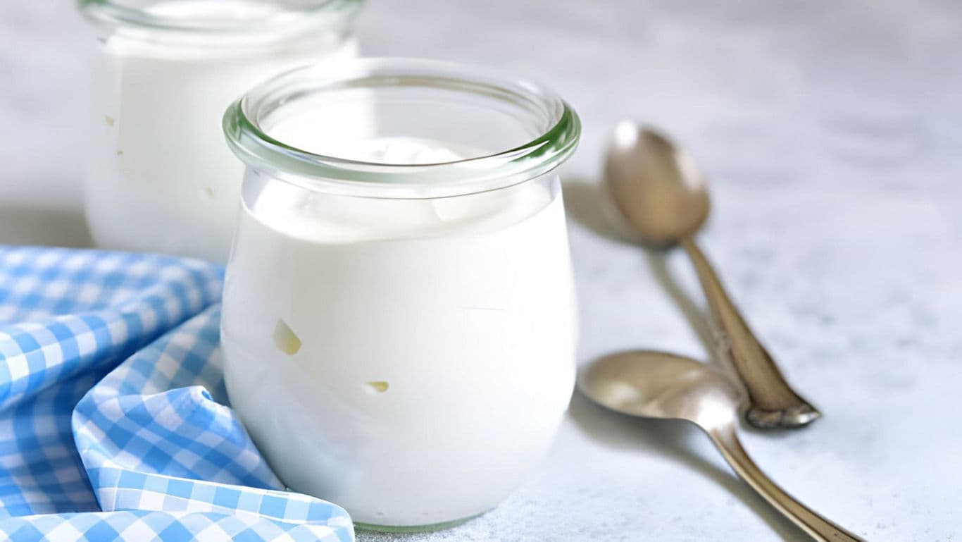 Fresh batch of yoghurt