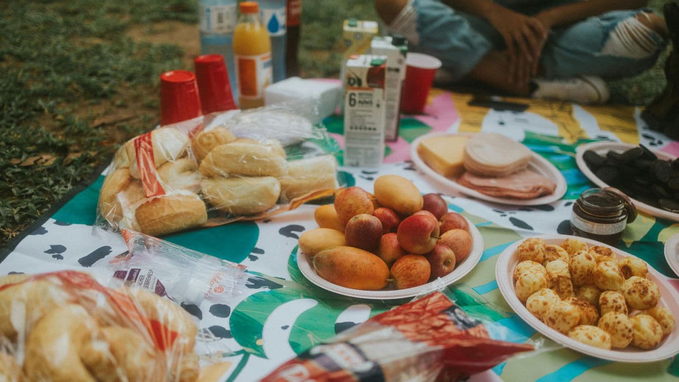 History Of Picnics: How Picnic Culture Evolved From Royal Banquets To Park Blankets