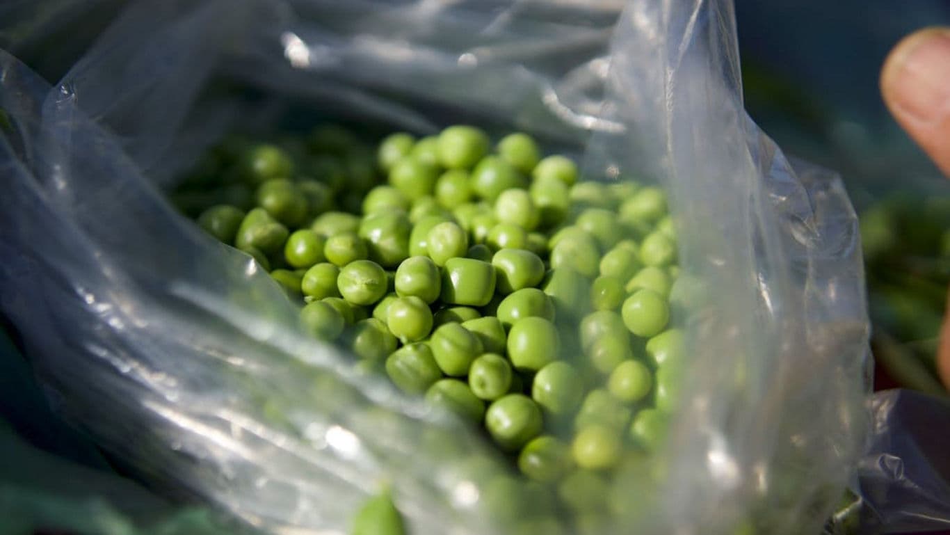 Frozen ingredients - banner image
