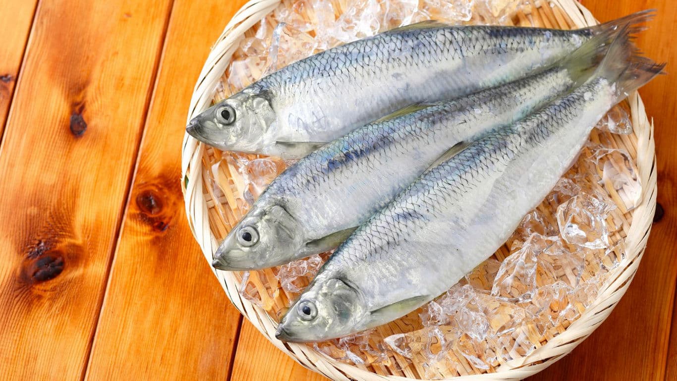 Fresh whole fish on ice in basket