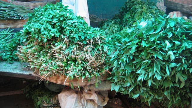 monsoon-vegetables-spotlight-delicious-gongura-recipes-from-gongura-pachadi-to-gongura-chicken-thumbnail