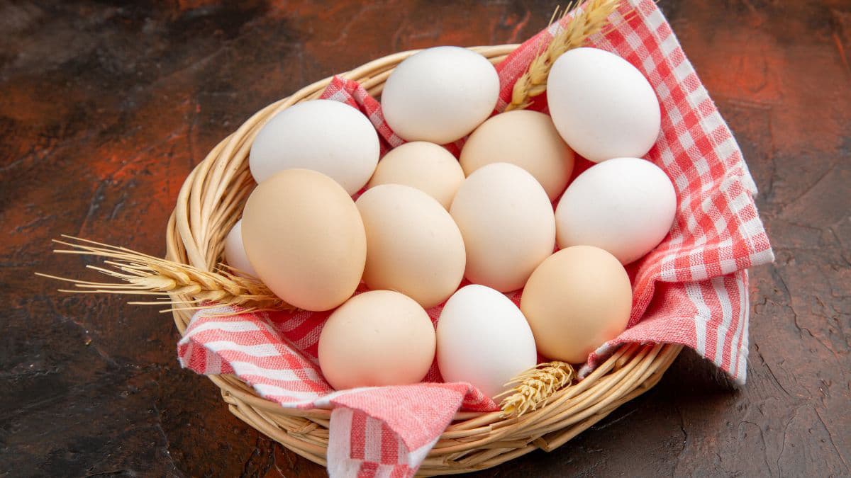 7-creative-egg-recipes-to-upgrade-your-everyday-breakfast-thumbnail