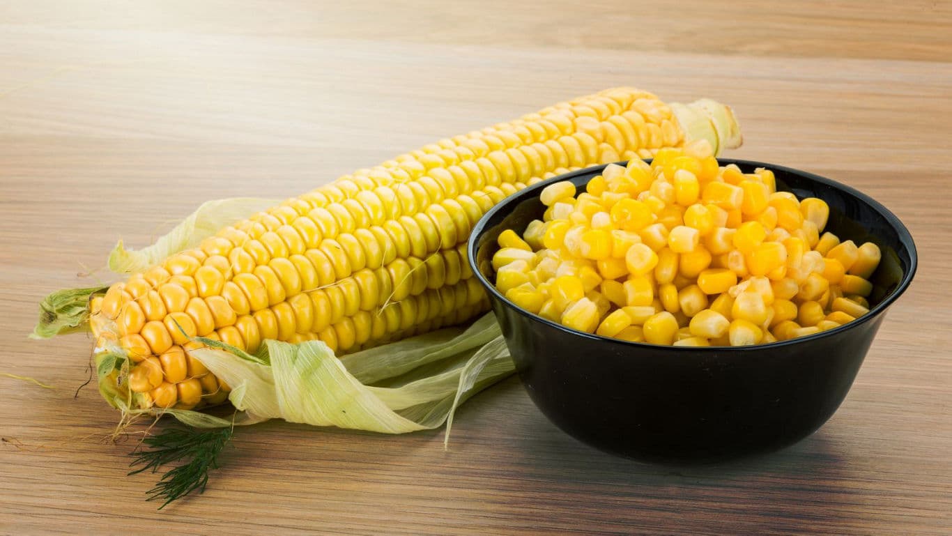 Fresh corn on cob with kernels bowl