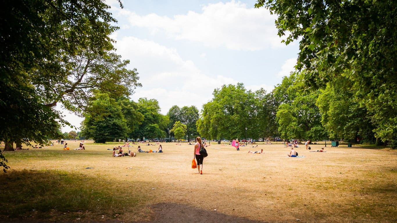 People relaxing on sunny summer park lawn