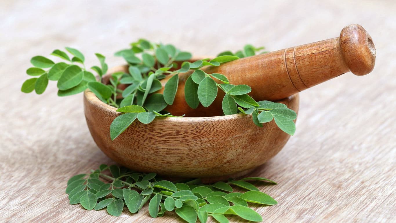 Fresh green leaves in wooden mortar and pestle