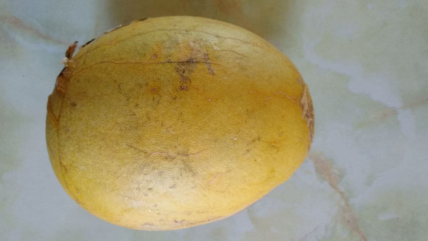 Whole yellow mango on marble surface