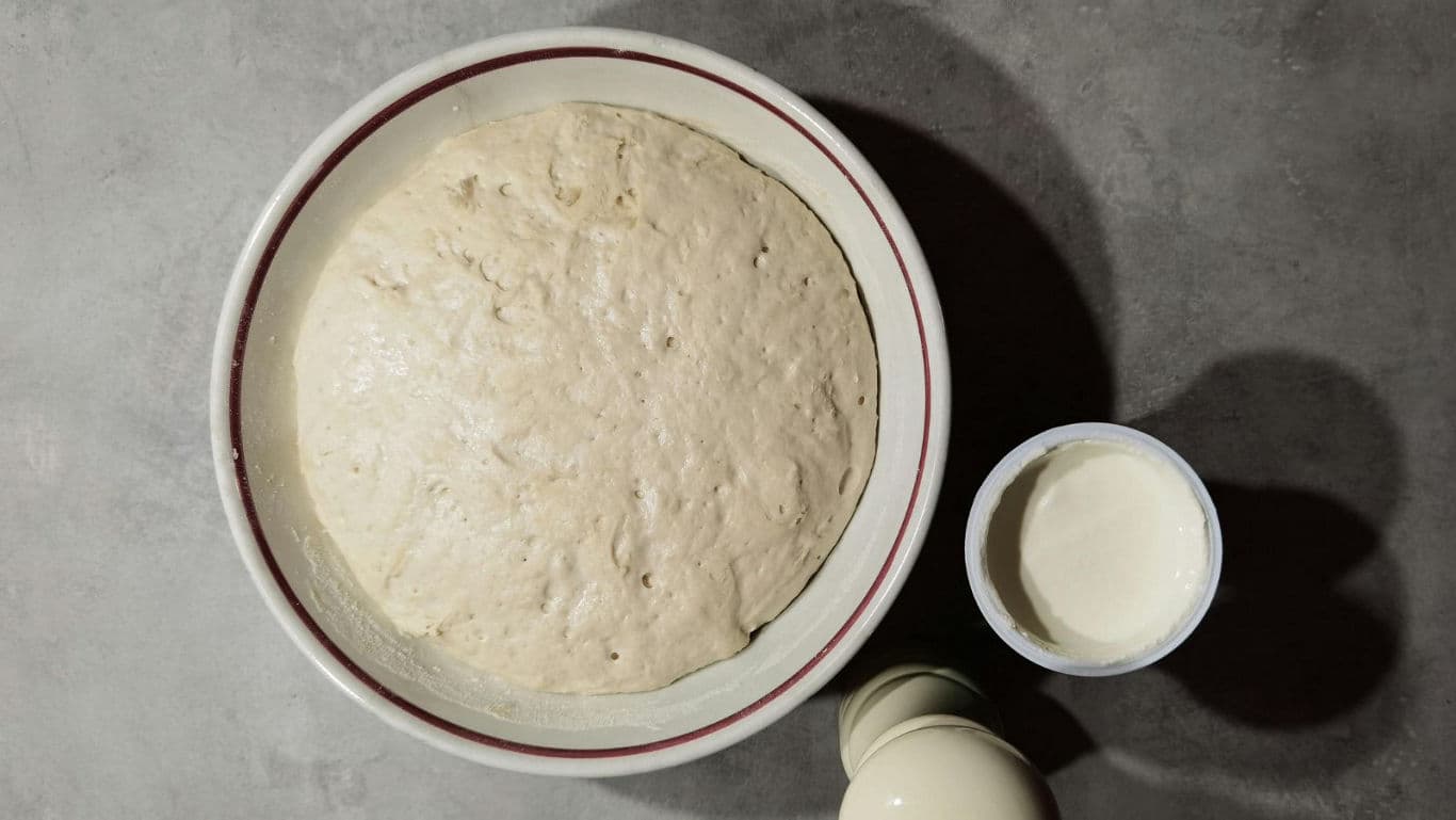 Risen bread dough in mixing bowl overhead