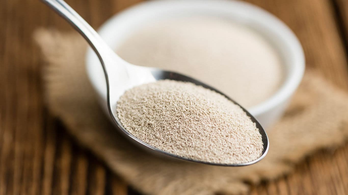 Close-up of dry yeast granules on metal spoon