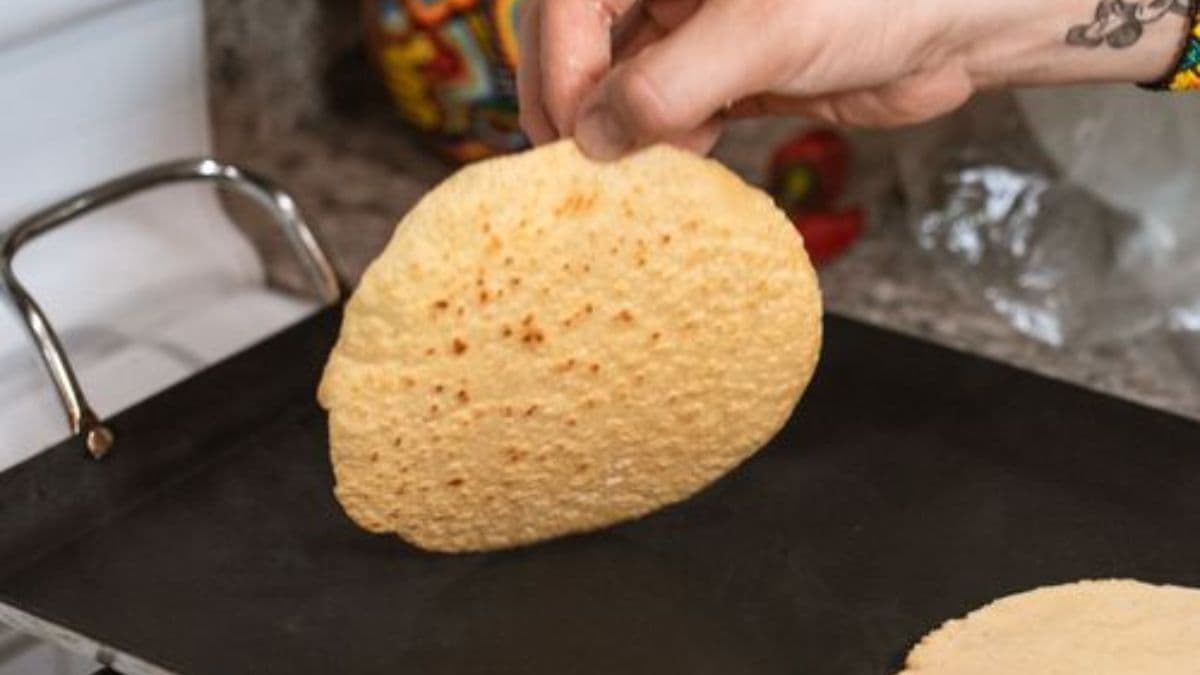 person holding a soft-cooked taco