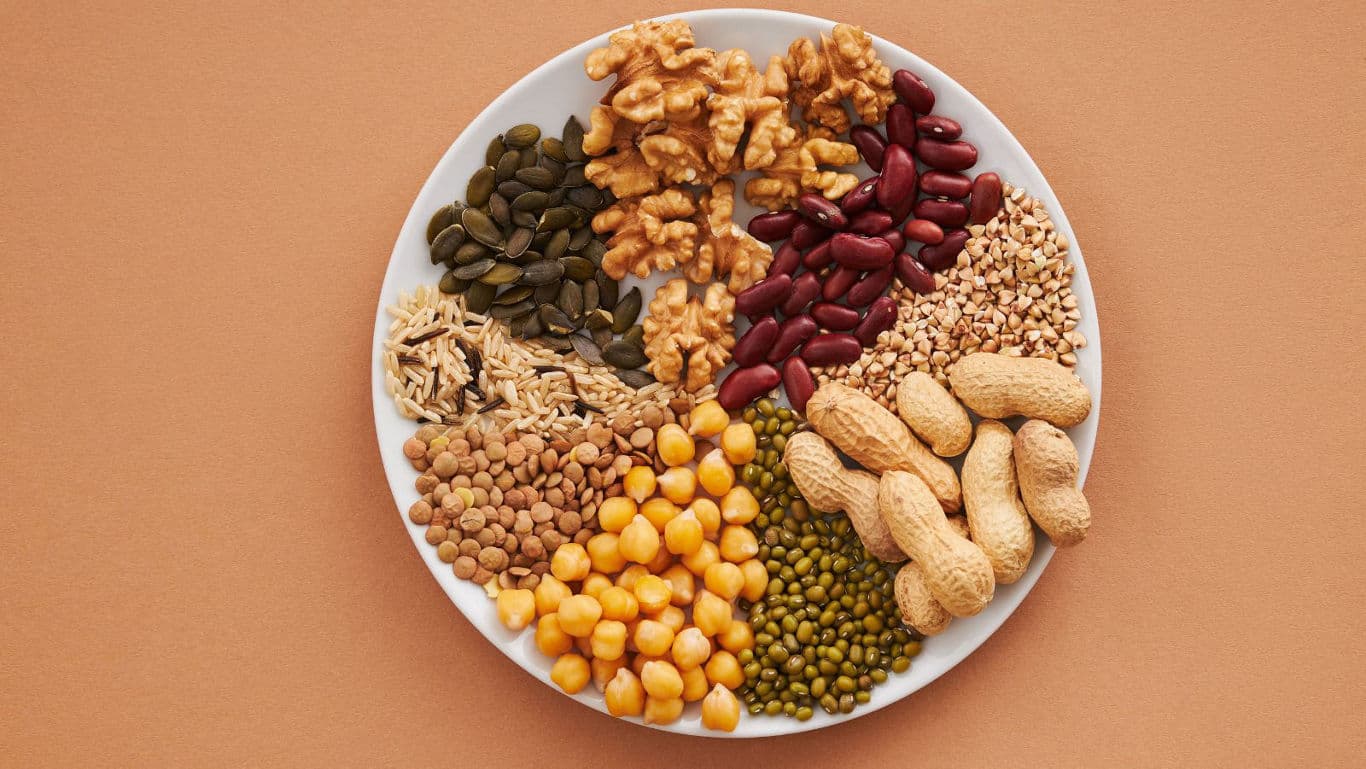 Assorted legumes and nuts on white plate