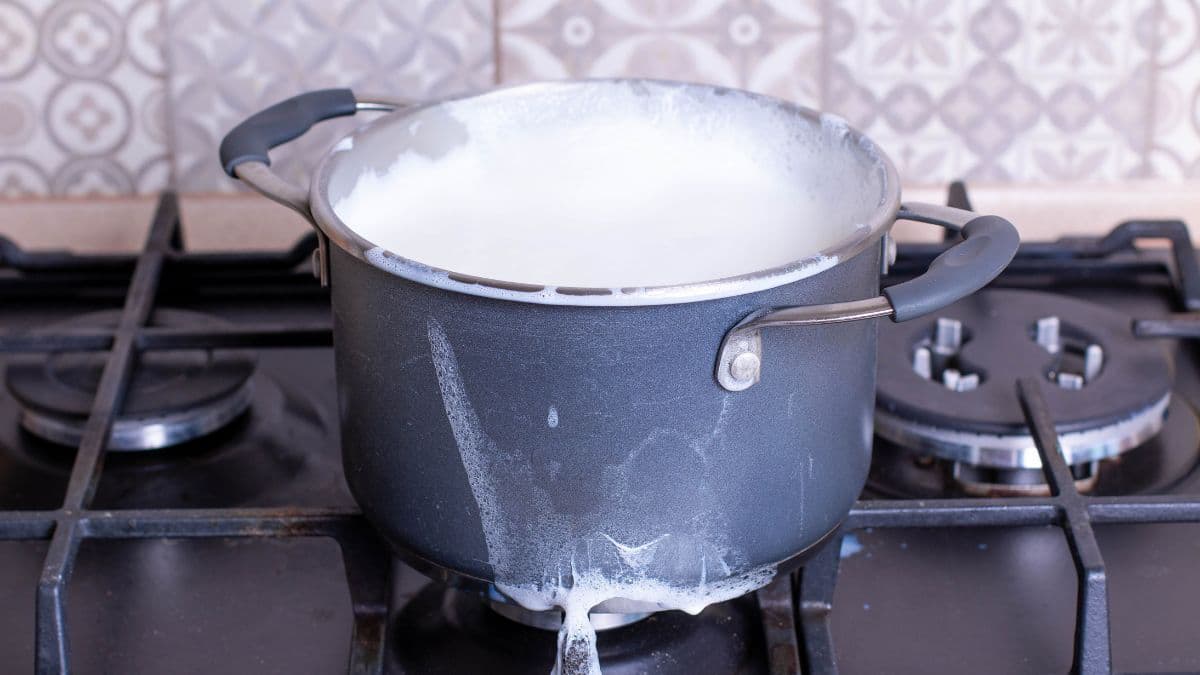 Milk being boiled