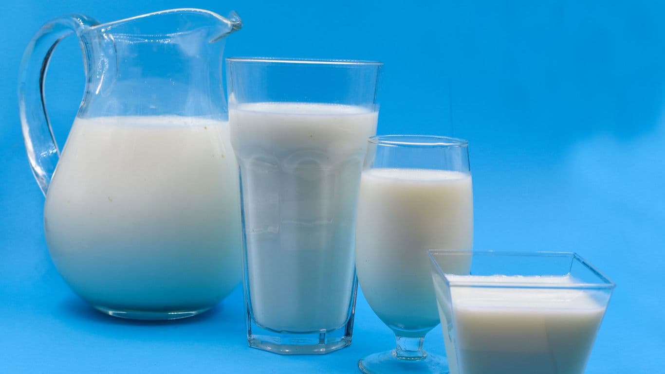 Assorted Glasses and Pitcher Filled With Milk