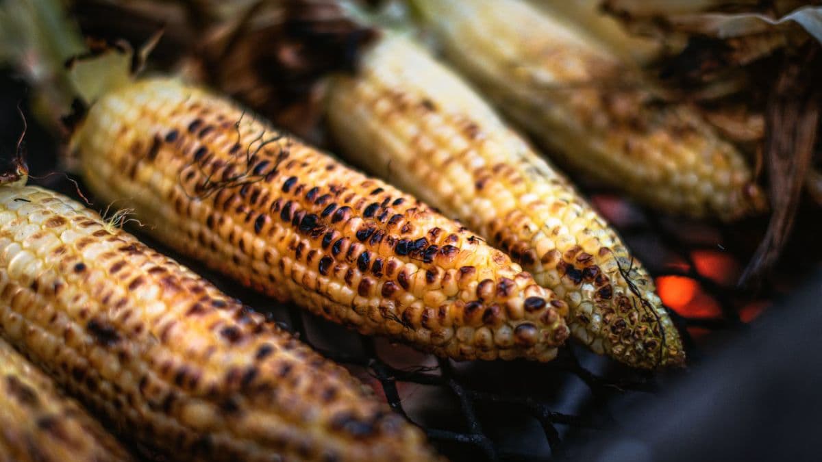 Corn recipes for grilled corn on the cob