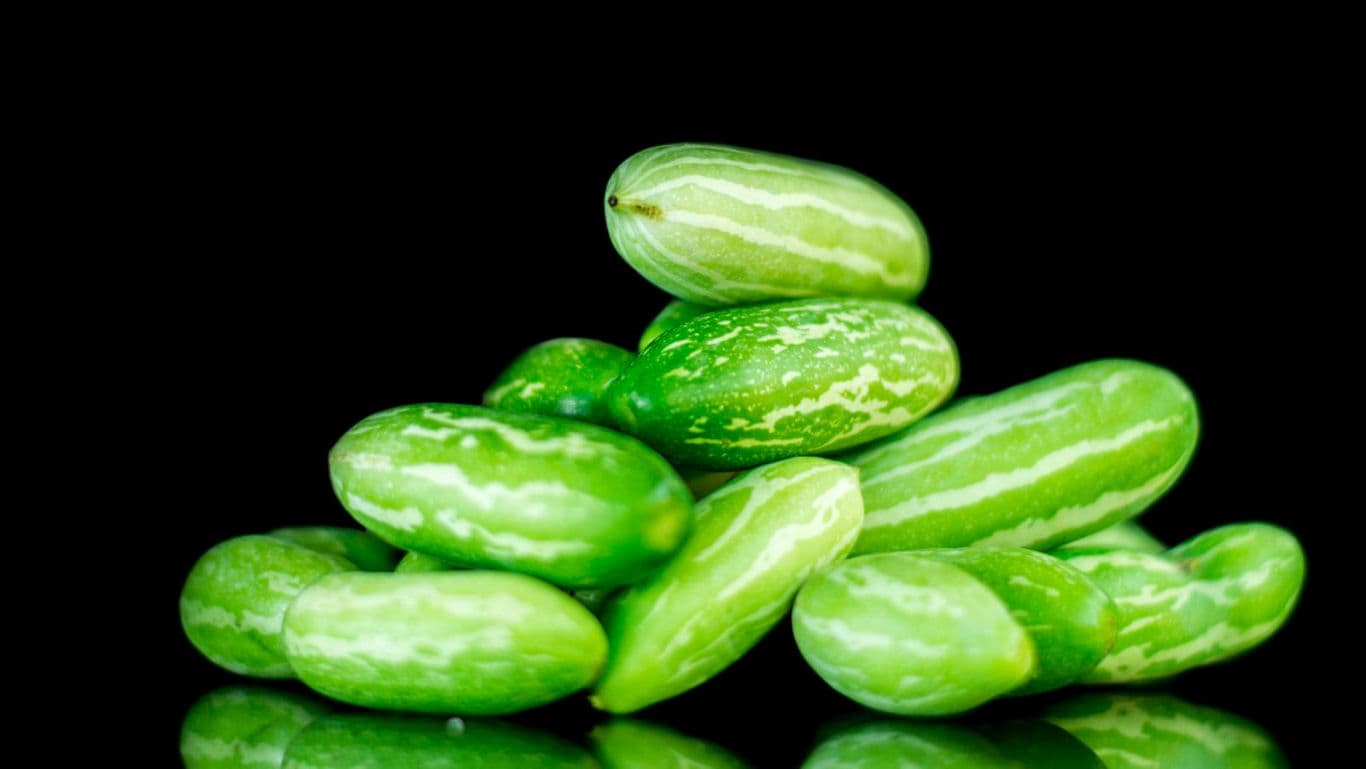 Stack of Fresh Green Pointed Gourds on Black
