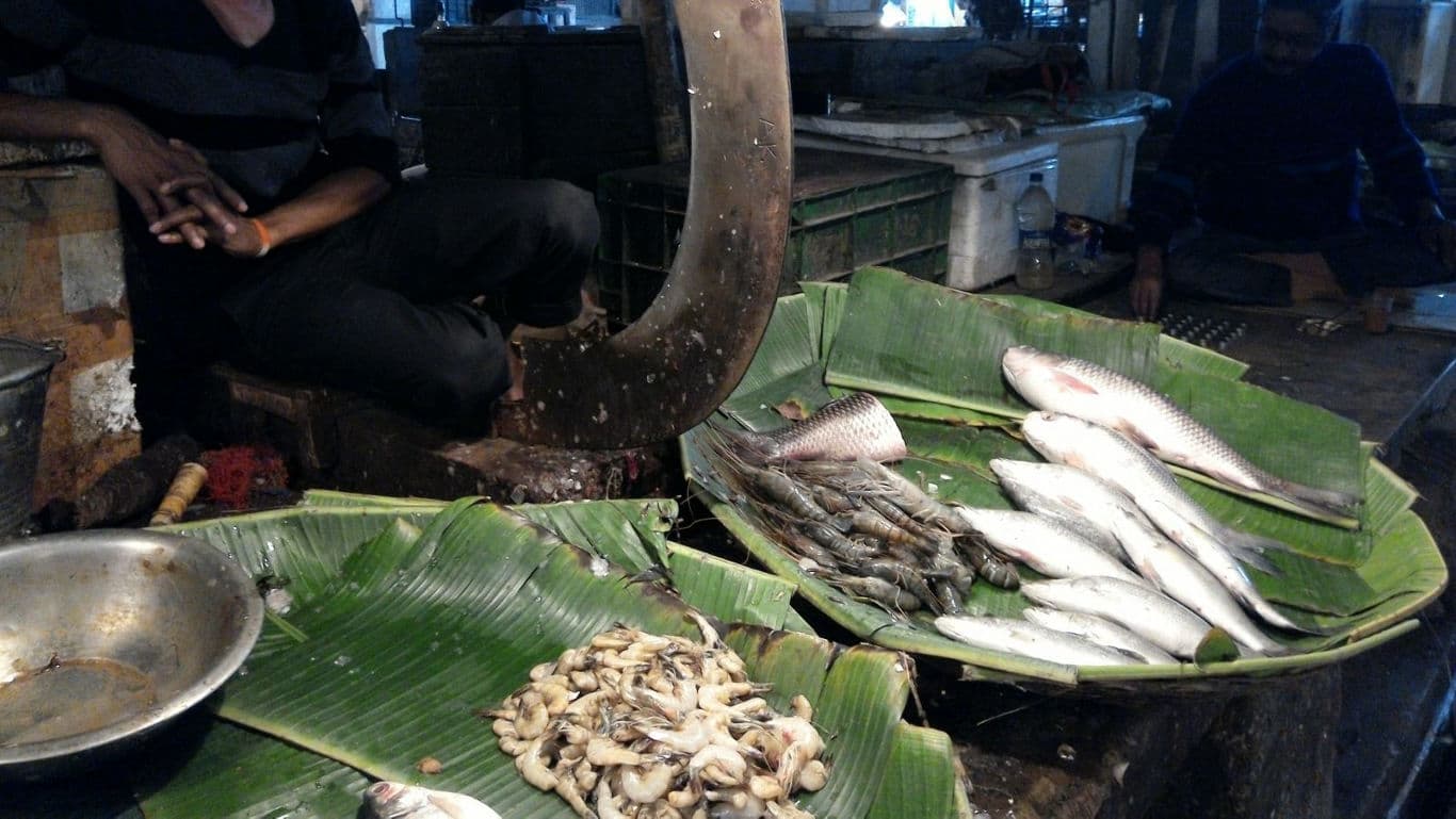 An array of fish arranged at a Kolkata fish market.