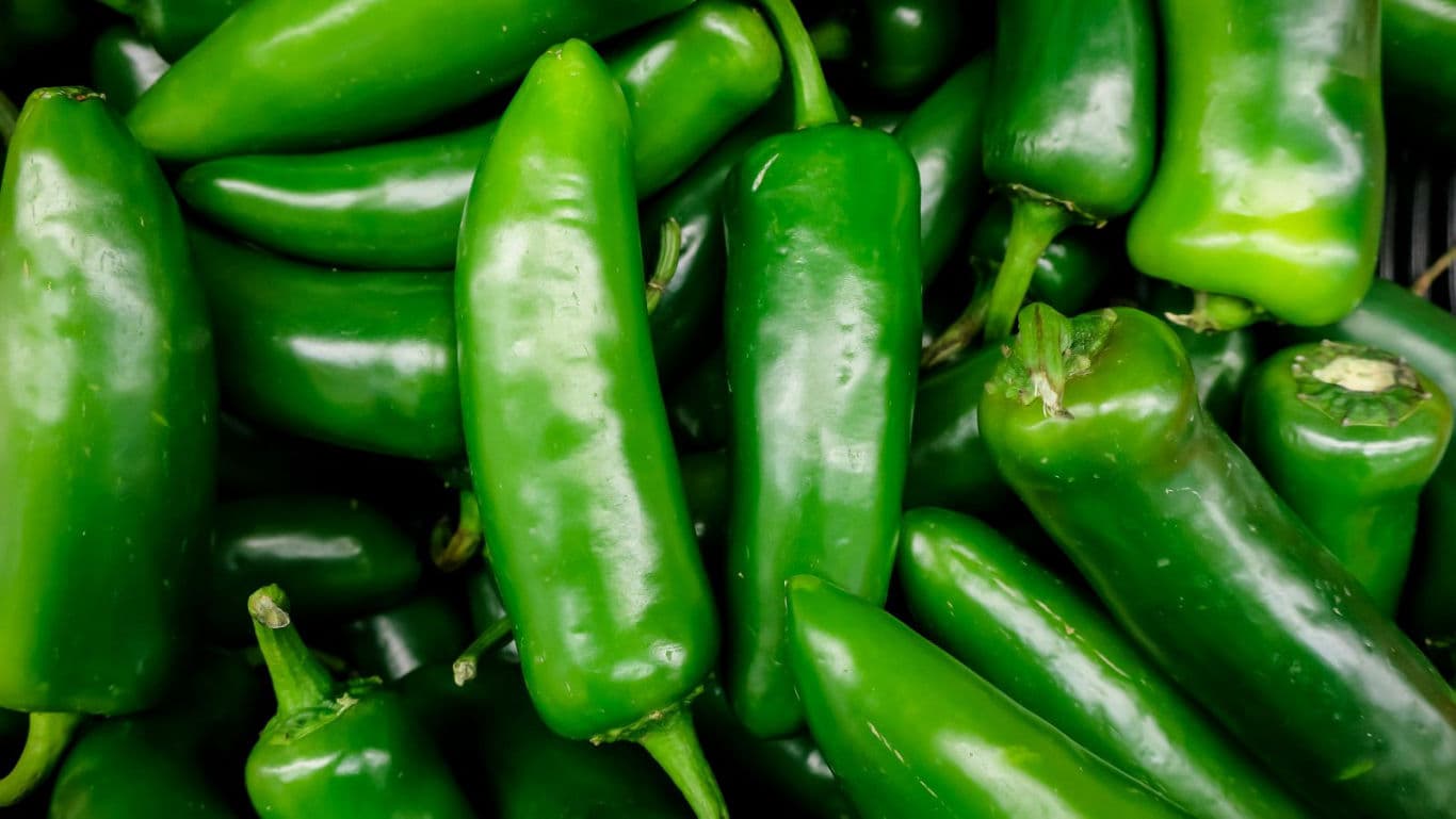 Fresh green chili peppers close up