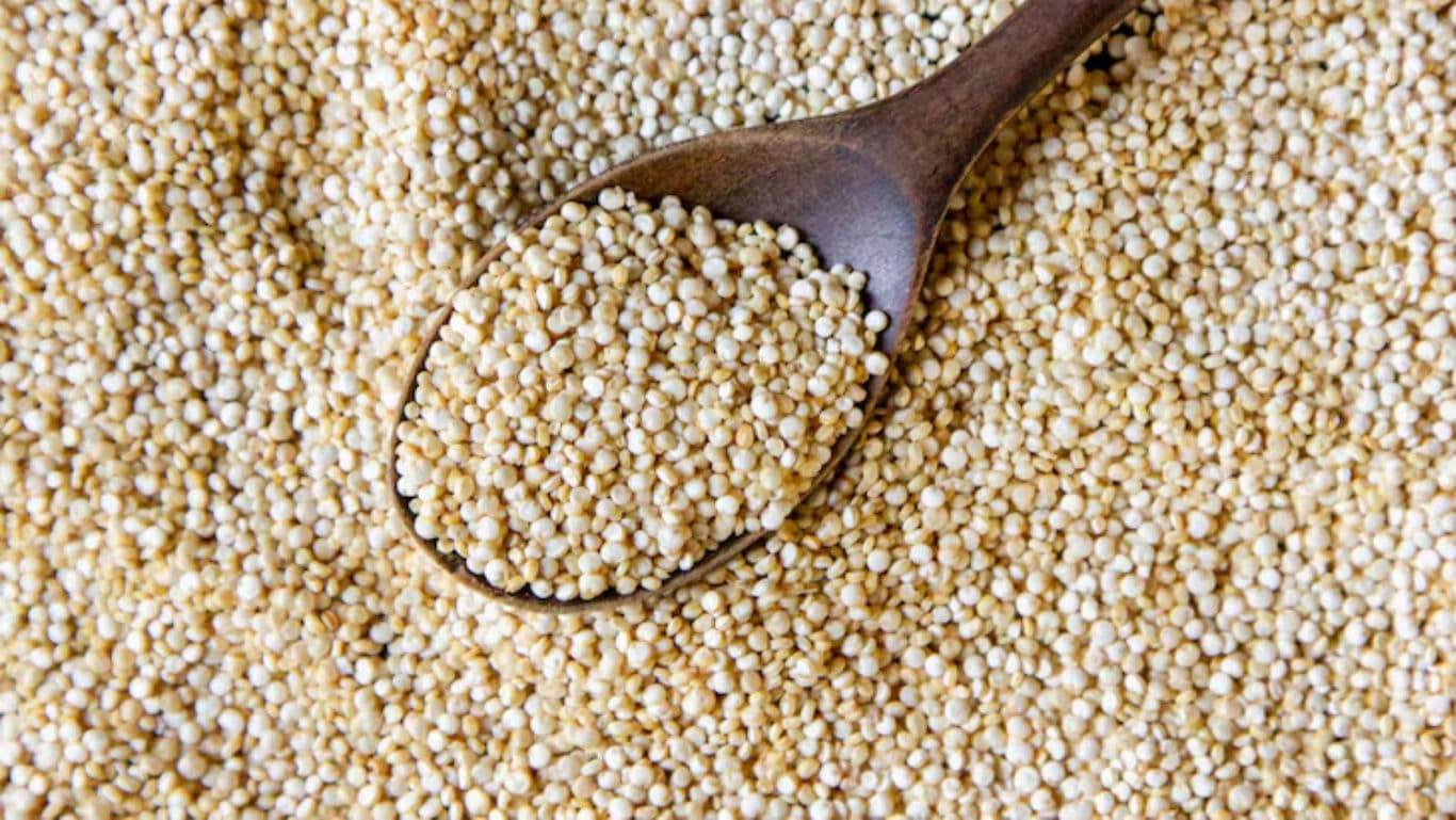 Wooden spoon scooping raw quinoa grains
