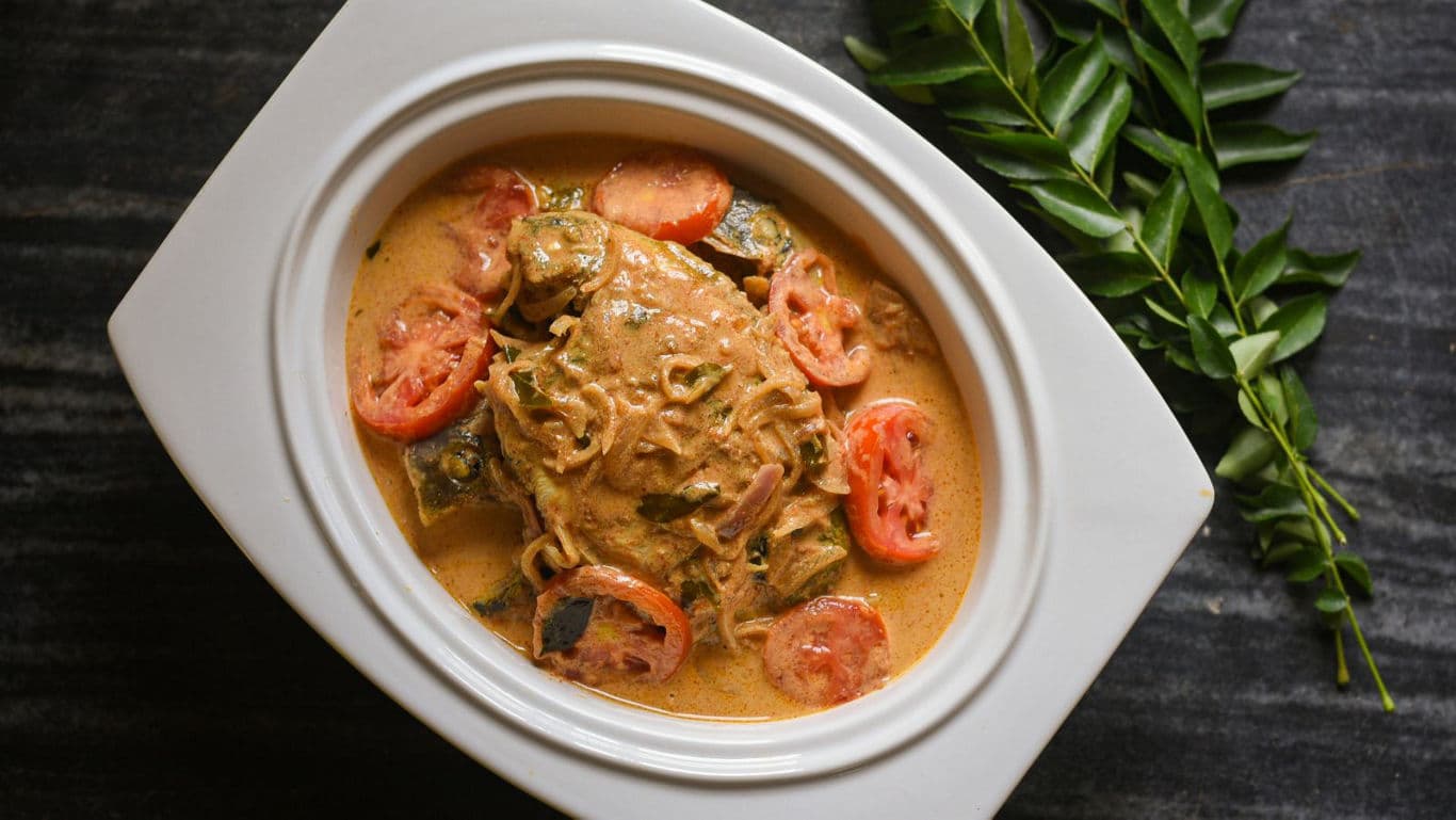 Creamy curry dish with tomatoes and herbs