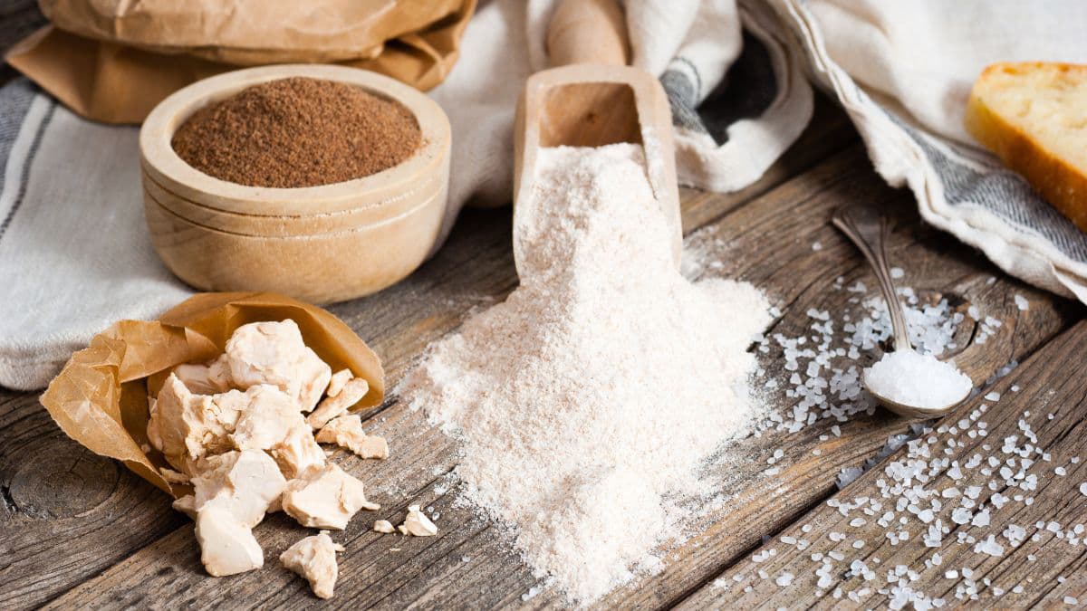 Bread rolls ingredients
