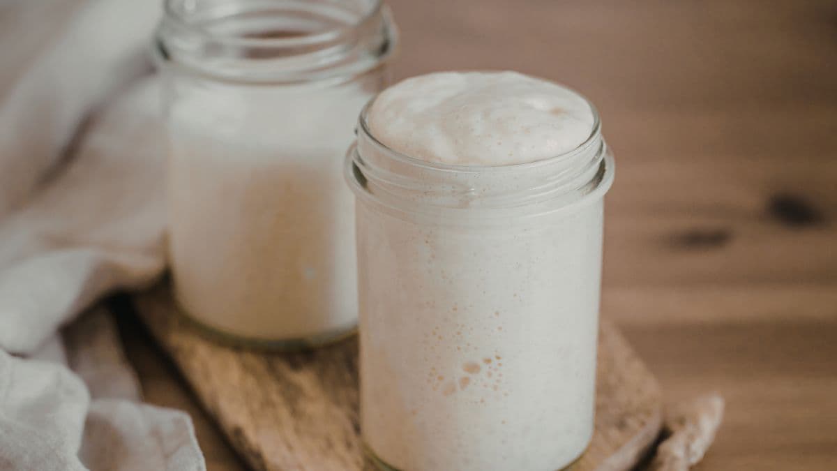 2 jars of sourdough starter