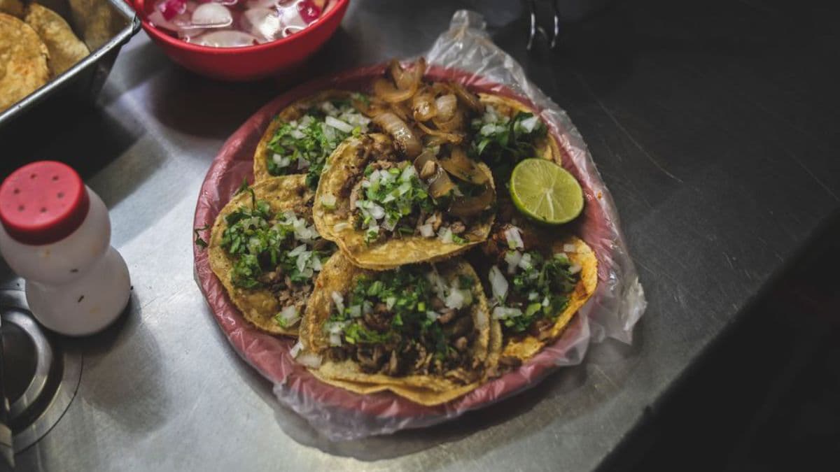 khapli atta tostads on a plate