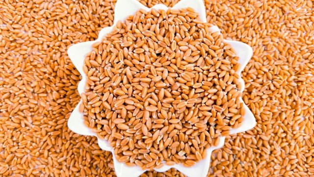 why-bakers-are-switching-to-khapli-atta-a-beginners-guide-thumbnail