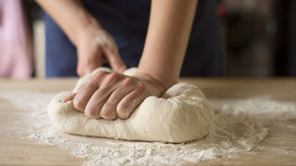 kneading the dough