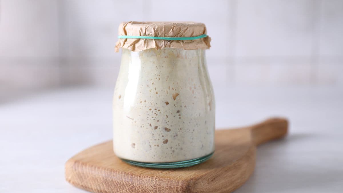 closed jar of sourdough starter