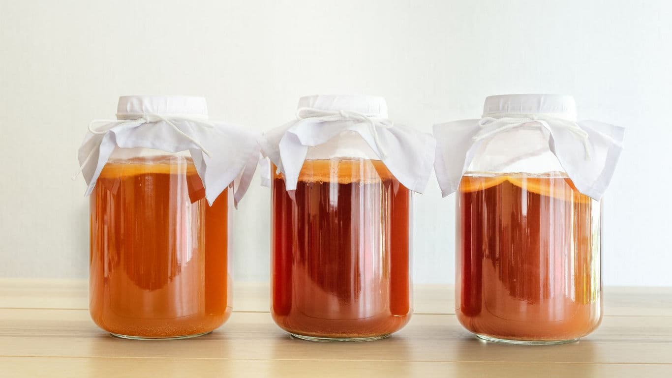 Three glass jars of homemade kombucha