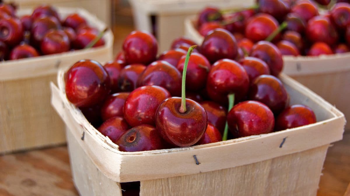 Baskets of cherries