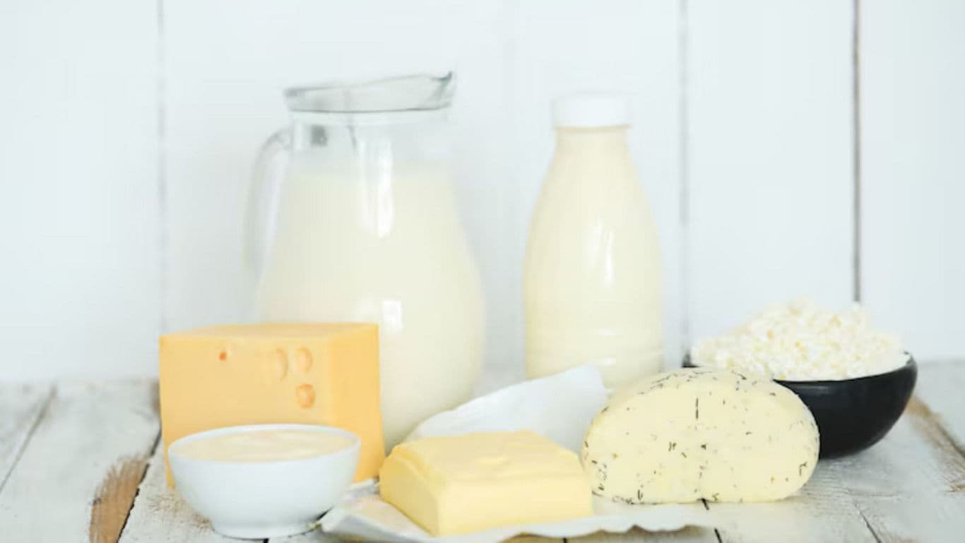 Assorted dairy products on wooden surface