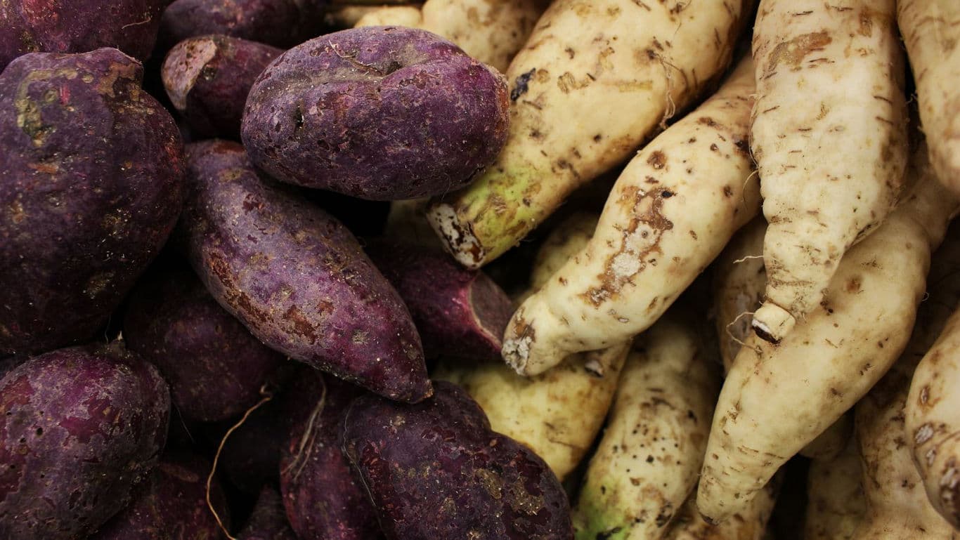 Sweet potatoes and radishes from the home garden