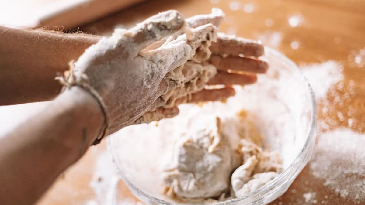 a shaggy dough of khapli wheat for pizza 