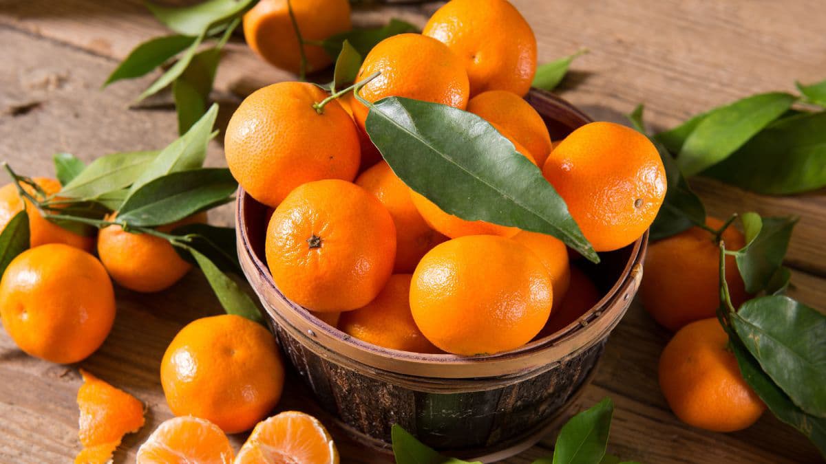 Basket of mandarins