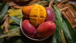 blogs-thumbnail