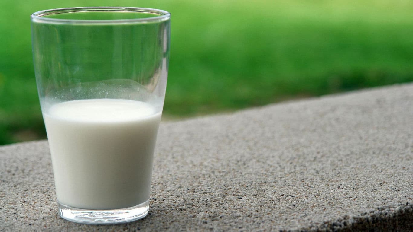 Glass of milk on outdoor concrete ledge