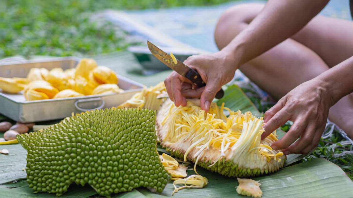 Raw Jackfruit Preparation Tips